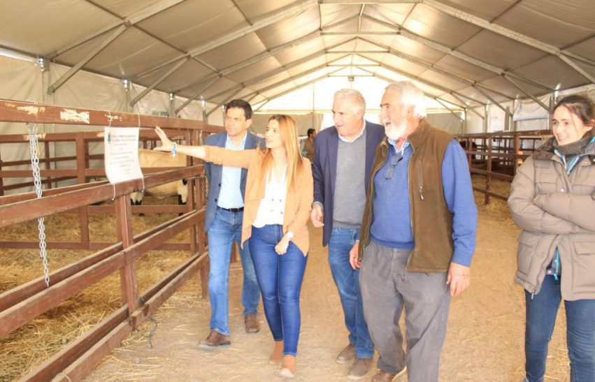 Agudo, Almodóvar del Campo.4