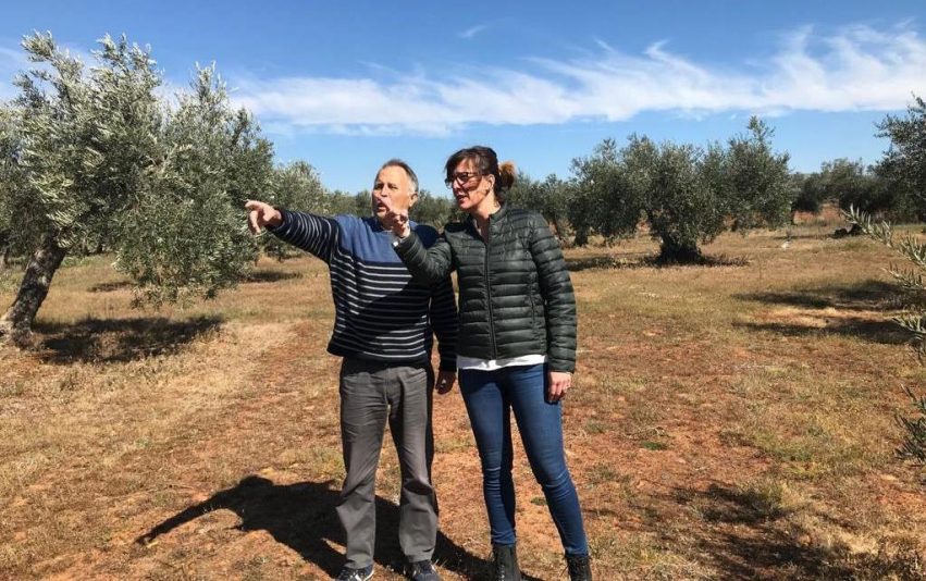 BLANCA FERNADEZ_ EXPLOTACION AGRARIA PORZUNA (1)