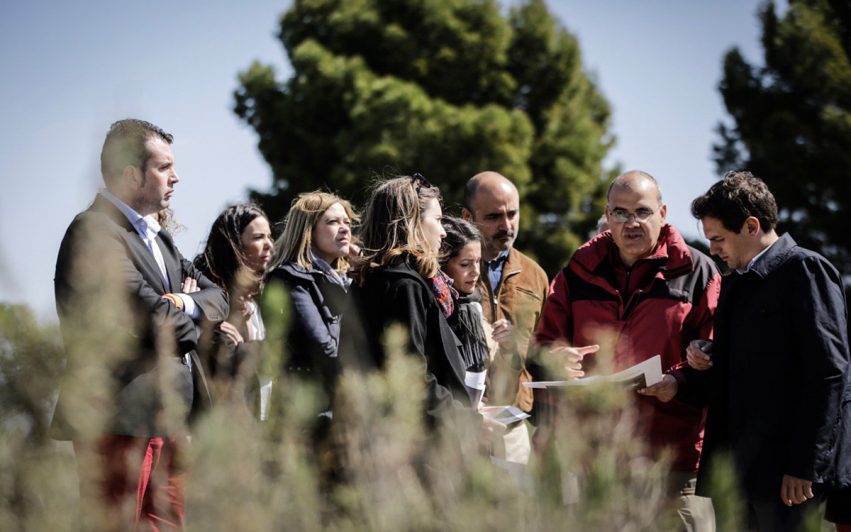 Cs foto Parque Nacional Las Tablas de Daimiel 3