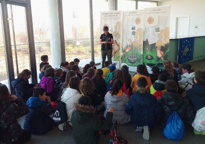 ¿Cómo puede un pájaro de 10 gramos recorrer 6.000 kilómetros?