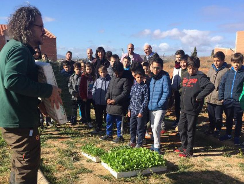 Huertos_biodiversidad (3)