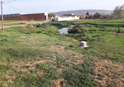 Celebra que empiecen a sellarse pozos de riego peligrosos