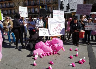 C-LM Stop Macrogranjas lamentan rechazo moratoria a macrogranjas porcinas
