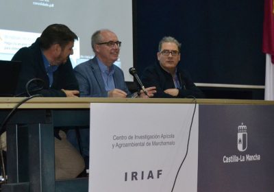 Incide en la necesidad de promover el uso de energías renovables