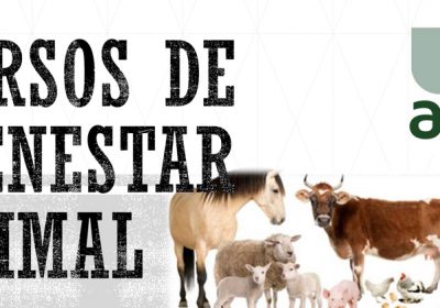 APAG organiza nuevos cursos de bienestar animal