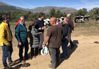 19 ganaderos contribuyen a mantener los cortafuegos en Guadalajara