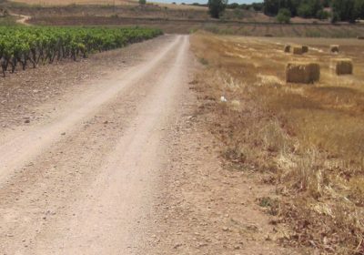 El Ayuntamiento de Daimiel arreglará 40 kilómetros de caminos