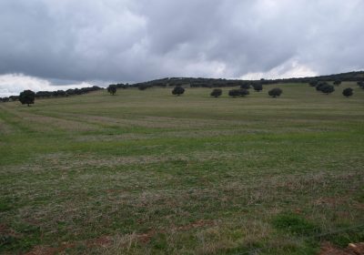Novedades en ayudas zonas ZEPA, zonas desfavorecidas y de montaña y acopladas a ganaderos
