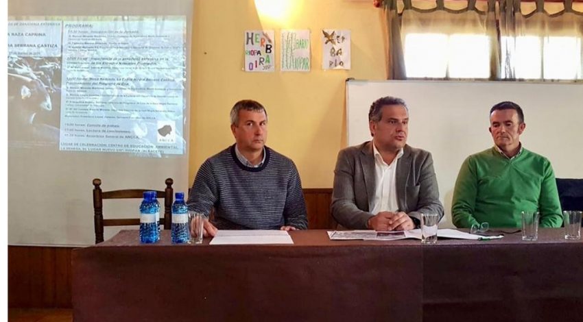 Gobierno de Castilla-La Mancha apoya la raza caprina negra serrana