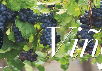 Agrícola Café celebra una jornada de viñedo en Mota del Cuervo