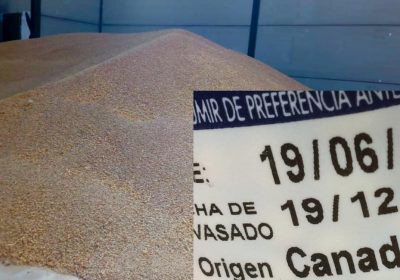 ASAJA Cuenca lamenta que las lentejas siguen sin salir al mercado