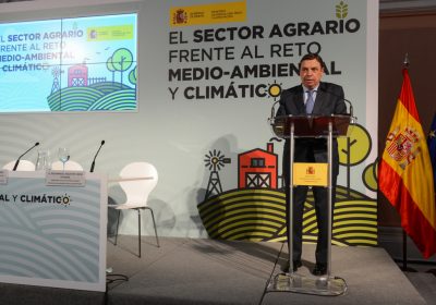 Agricultura y sector forestal pueden contribuir eficazmente a mitigar cambio climático