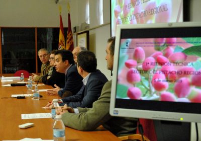 Castilla-La Mancha podría tener Indicación Geográfica Protegida «Pistacho de la Mancha»