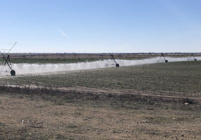 Castilla-La Mancha, segunda Comunidad Autónoma con más superficie regada