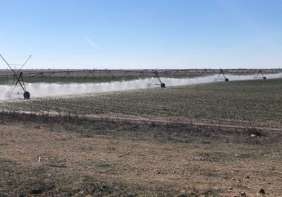 Las Cortes de Castilla-La Mancha aprueban elaborar un Plan Regional de Regadío pivots