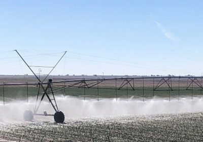 Pide la reducción de aproximadamente un millón de hectáreas de riego