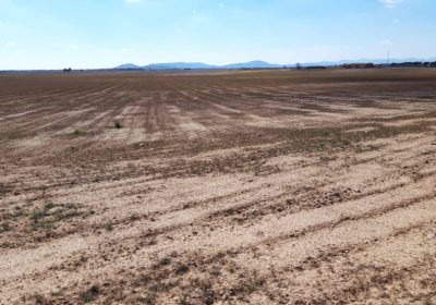 Delimitan las zonas de Castilla-La Mancha afectadas por la sequía a efectos de la PAC sequía