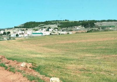 El 50% del campo español se encuentra ya en situación de alerta por sequía