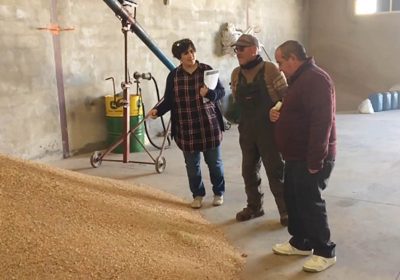 ASAJA Cuenca alerta sobre situación «insostenible» del sector de la lenteja