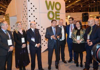 «Gran presente y, sobre todo, gran futuro” para aceite de oliva