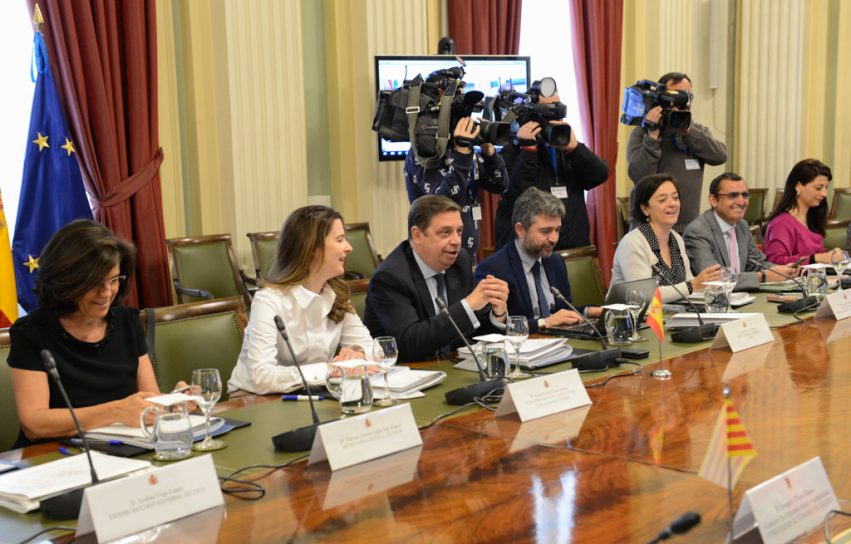 190410consejoconsultivo-2_tcm30-507950