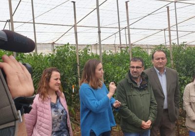 Rosado (Cs): «El Gobierno de Sánchez ha olvidado al sector primario»