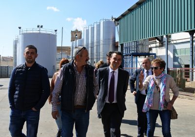 Gobierno de Castilla-La Mancha trabaja en una línea específica de ayudas para apoyar al viñedo de secano