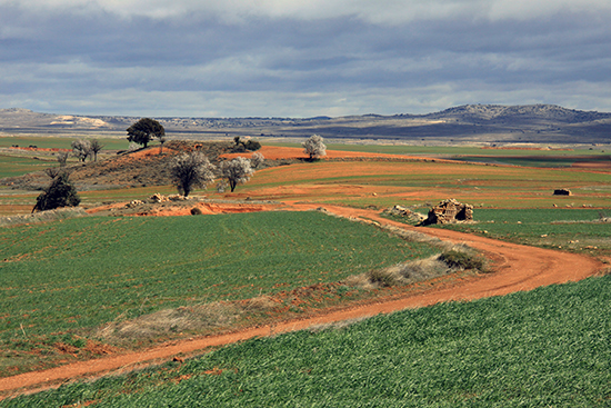 FOTO JOAQUIN TERÁN - FADEMUR