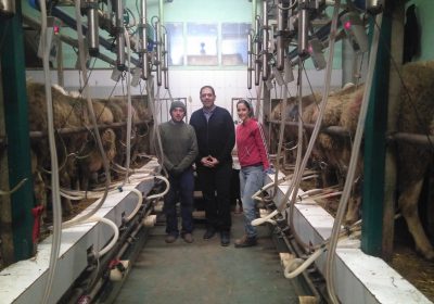 PSOE se compromete a mejorar el funcionamiento de la cadena alimentaria