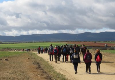 Reclaman atención para la protección de las vías pecuarias en Castilla-La Mancha