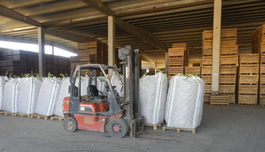 exportaciones ceoe cepyme Cuenca