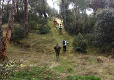 Empresas de ecoturismo de Castilla-La Mancha cifran pérdidas en un 70%