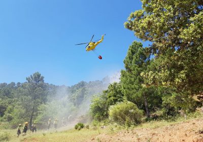 Consejería de Agricultura de Castilla-La Mancha pide suspender la recolección mecánica del cereal por riesgo de incendios