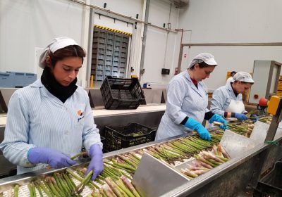 Ministerio convoca subvenciones para impulsar papel de mujeres en desarrollo rural