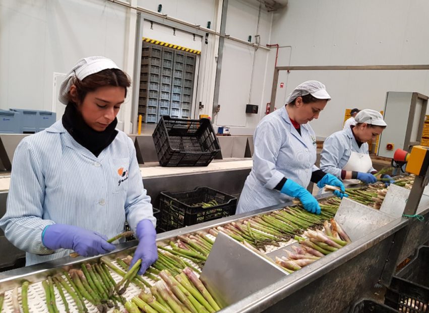 mujeres fabrica espárragos ministerio