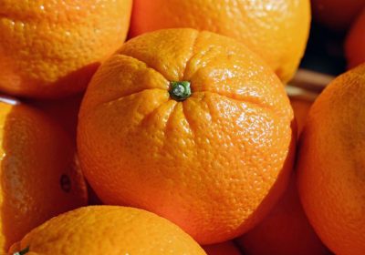 Revela que naranjas sudafricanas llevan materias activas de pesticidas prohibidas UE