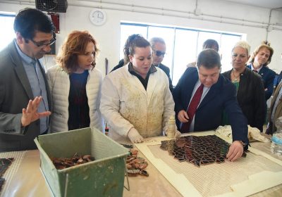 Creará organismo para coordinar estrategia de desarrollo para Campo de Montiel