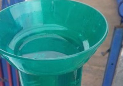 Las mejores predicciones de lluvia se cumplen y campo y cultivos lo agradecen