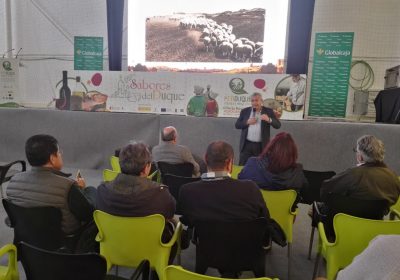 FERDUQUE acerca las posibilidades nutricionales y de comercialización del ganado ovino