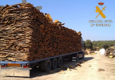 Tres detenidos por hurto 50 toneladas de corcho en comarca Oropesa
