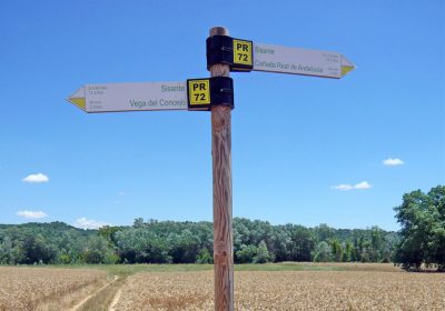 Campus Diputación de Cuenca de Senderismo retoma este sábado su actividad