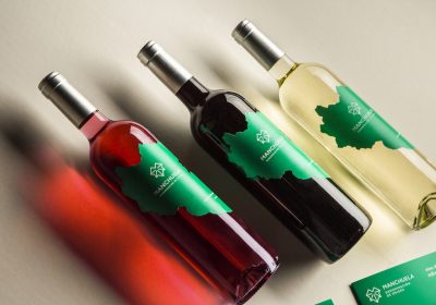 Muy buena la cosecha 2018-2019 de los vinos DO Manchuela