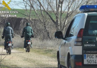 Le abren diligencias por cazar jabalíes cerca de terrenos agrícolas
