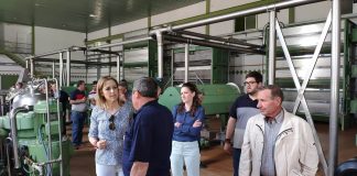 Maestre (PSOE) defiende gran aportación de Europa al desarrollo rural