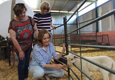 Maestre valora impulso del PSOE al sector agropecuario de Castilla-La Mancha