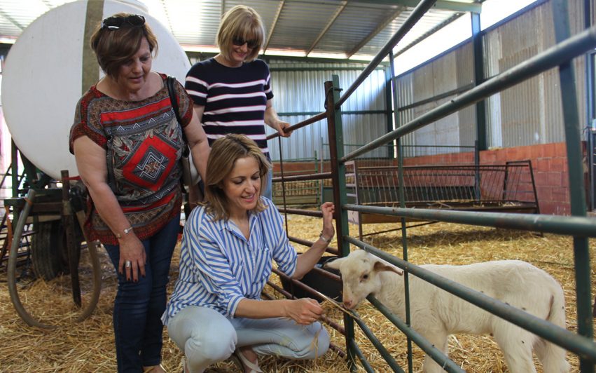 CRISTINA MAESTRE_ EXPLOTACION GANADERA 1