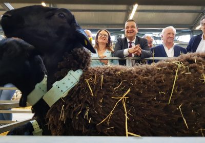 Albacete ya acoge la edición ganadera de EXPOVICAMAN