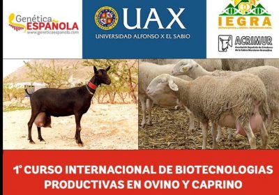 Talavera acogerá curso internacional de Biotecnologías Productivas en Ovino y Caprino