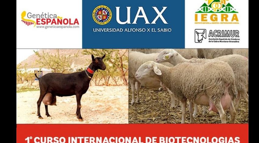 Talavera acogerá curso internacional de Biotecnologías Productivas en Ovino y Caprino