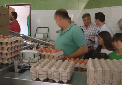 ‘Huevos Teresa de la Cruz’ moderniza y amplía sus instalaciones